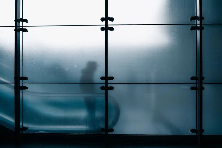 An abstract view of a silhouette behind frosted glass, capturing a sense of mystery and modern architecture.